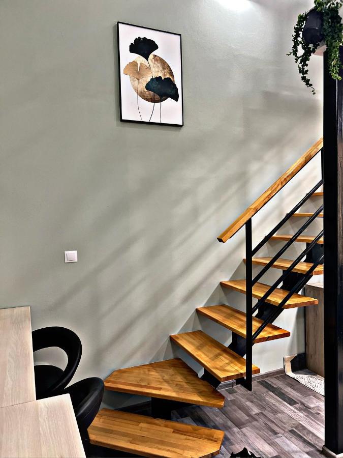 Vivo Loft By Short-stay Baia Mare