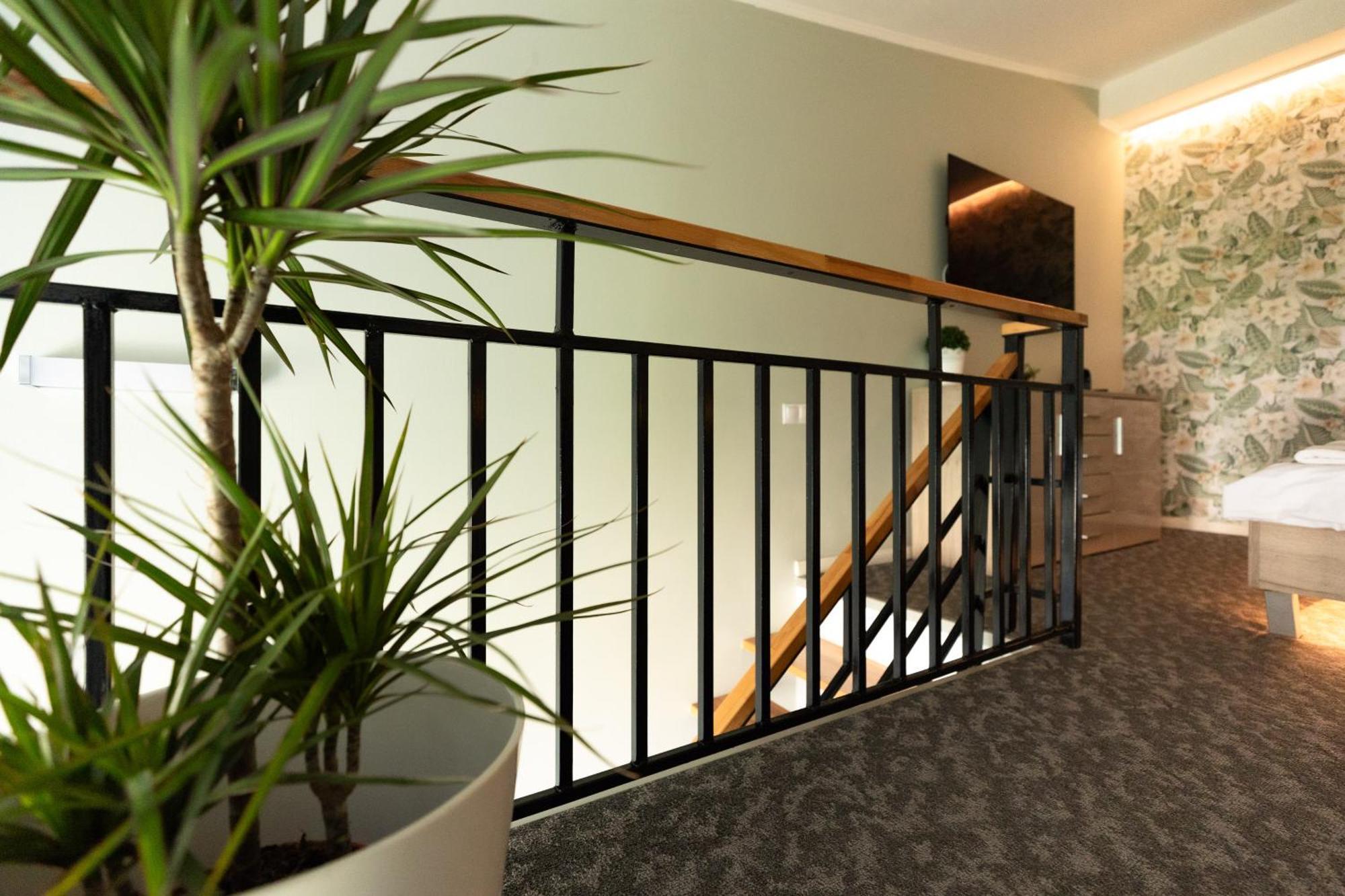 Apartment Vivo Loft By Short-stay Baia Mare